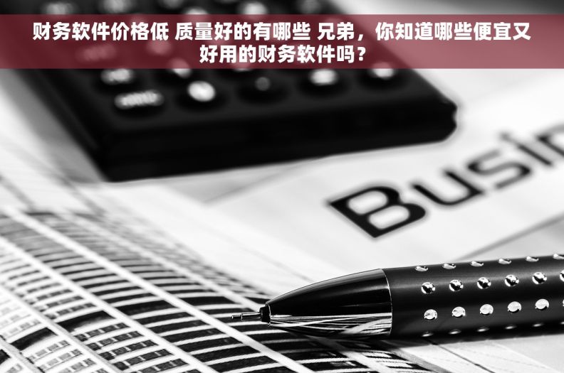 财务软件价格低 质量好的有哪些 兄弟，你知道哪些便宜又好用的财务软件吗？