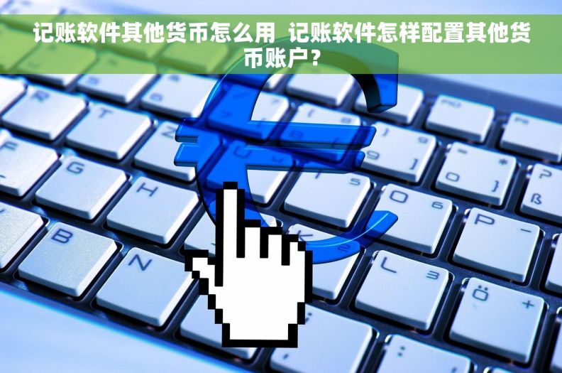 记账软件其他货币怎么用  记账软件怎样配置其他货币账户？