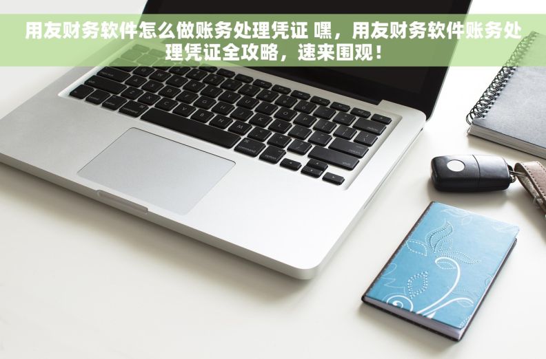 用友财务软件怎么做账务处理凭证 嘿，用友财务软件账务处理凭证全攻略，速来围观！