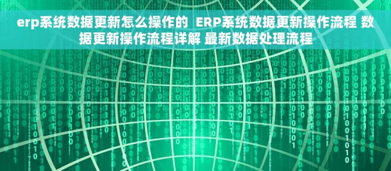 erp系统数据更新怎么操作的  ERP系统数据更新操作流程 数据更新操作流程详解 最新数据处理流程