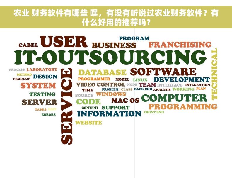 农业 财务软件有哪些 嘿，有没有听说过农业财务软件？有什么好用的推荐吗？