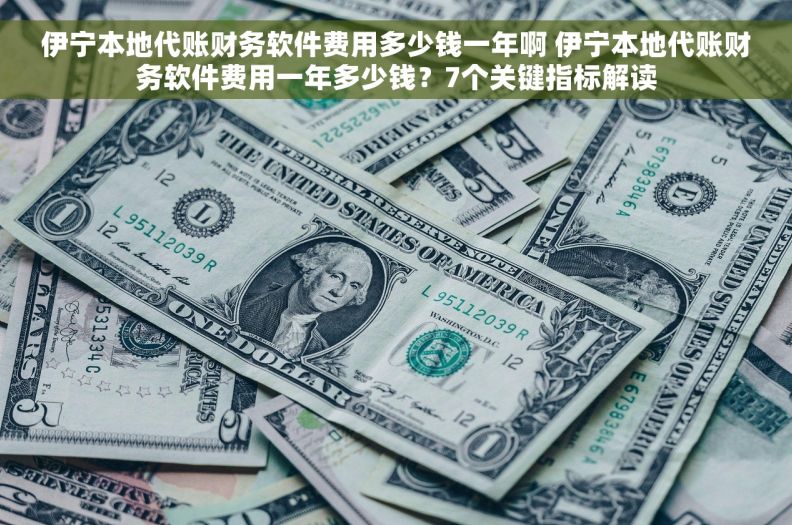 伊宁本地代账财务软件费用多少钱一年啊 伊宁本地代账财务软件费用一年多少钱？7个关键指标解读