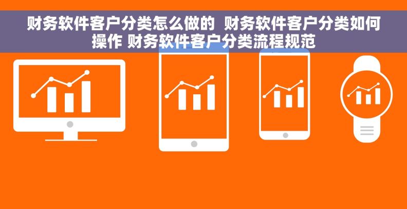 财务软件客户分类怎么做的  财务软件客户分类如何操作 财务软件客户分类流程规范