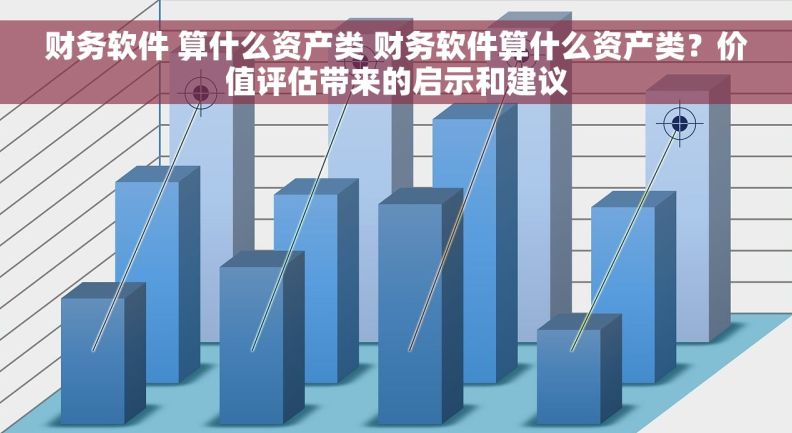 财务软件 算什么资产类 财务软件算什么资产类？价值评估带来的启示和建议