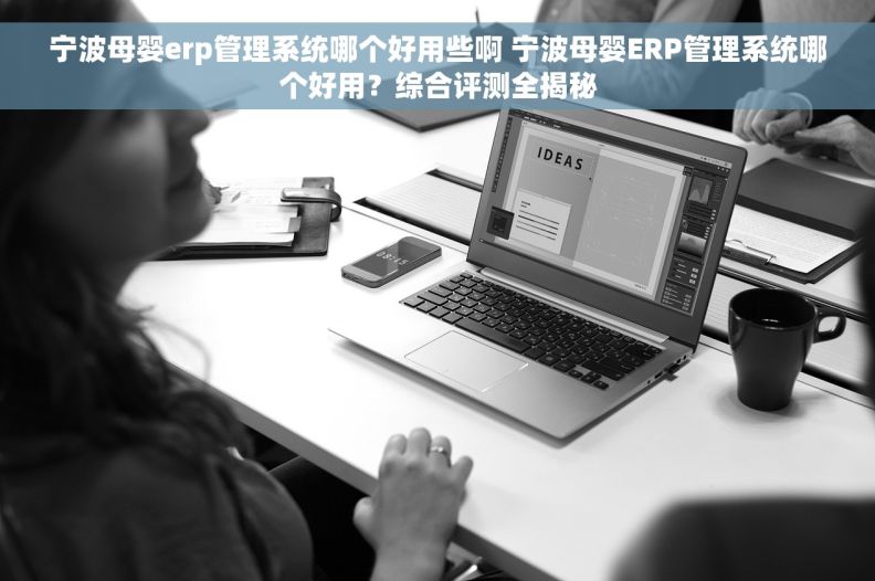 宁波母婴erp管理系统哪个好用些啊 宁波母婴ERP管理系统哪个好用？综合评测全揭秘