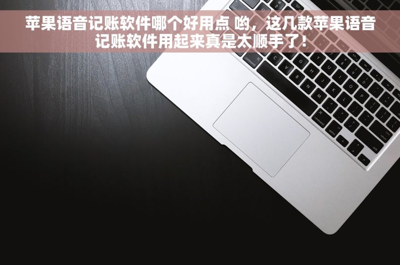 苹果语音记账软件哪个好用点 哟，这几款苹果语音记账软件用起来真是太顺手了！
