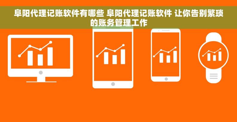阜阳代理记账软件有哪些 阜阳代理记账软件 让你告别繁琐的账务管理工作