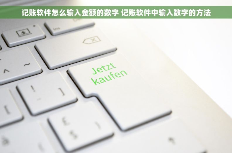 记账软件怎么输入金额的数字 记账软件中输入数字的方法