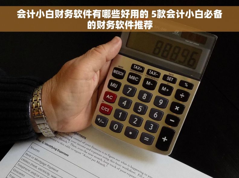 会计小白财务软件有哪些好用的 5款会计小白必备的财务软件推荐