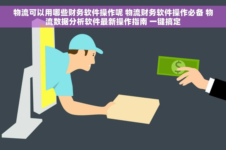 物流可以用哪些财务软件操作呢 物流财务软件操作必备 物流数据分析软件最新操作指南 一键搞定