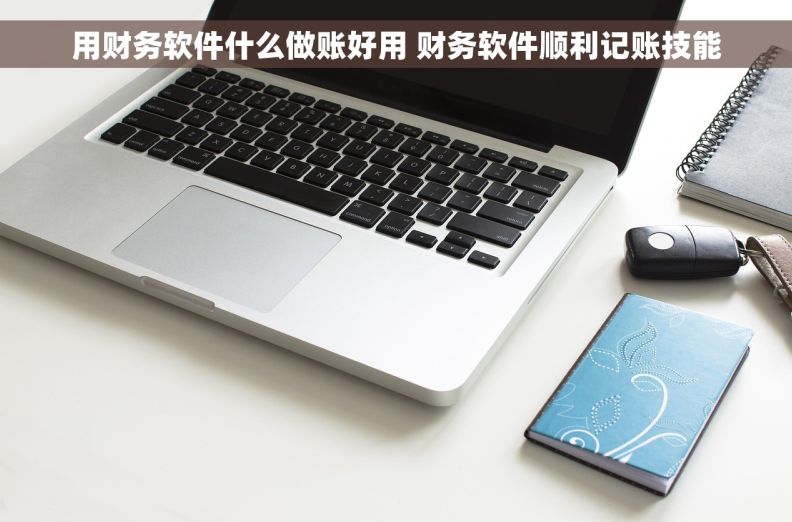 用财务软件什么做账好用 财务软件顺利记账技能
