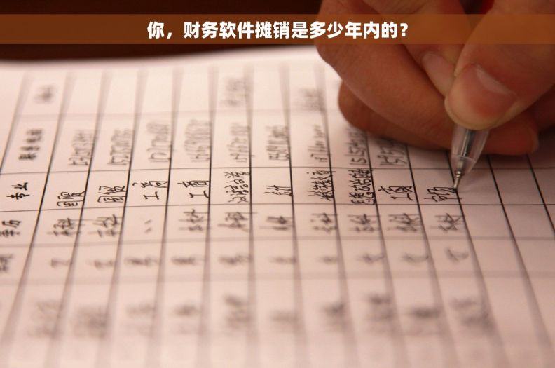你，财务软件摊销是多少年内的？