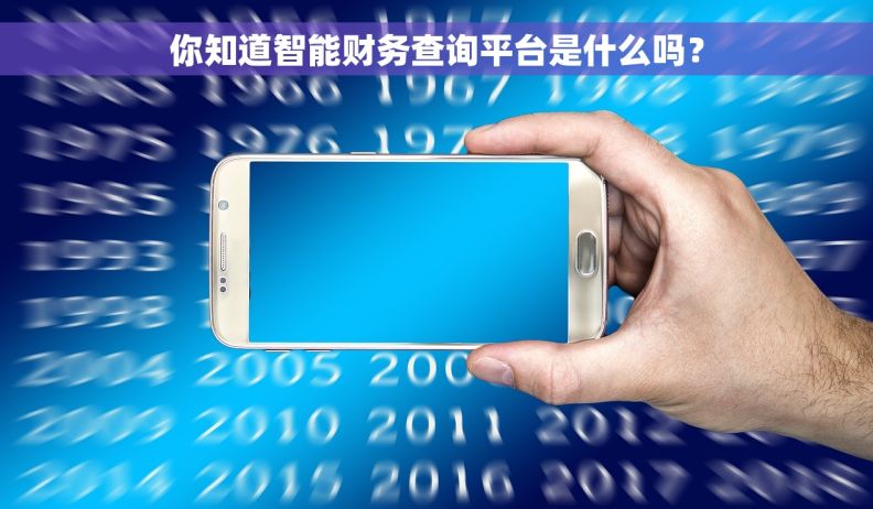 你知道智能财务查询平台是什么吗？