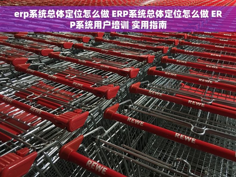 erp系统总体定位怎么做 ERP系统总体定位怎么做 ERP系统用户培训 实用指南