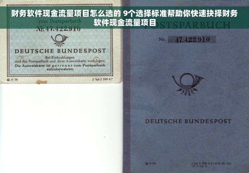 财务软件现金流量项目怎么选的 9个选择标准帮助你快速抉择财务软件现金流量项目