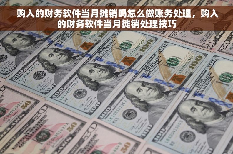  购入的财务软件当月摊销吗怎么做账务处理，购入的财务软件当月摊销处理技巧