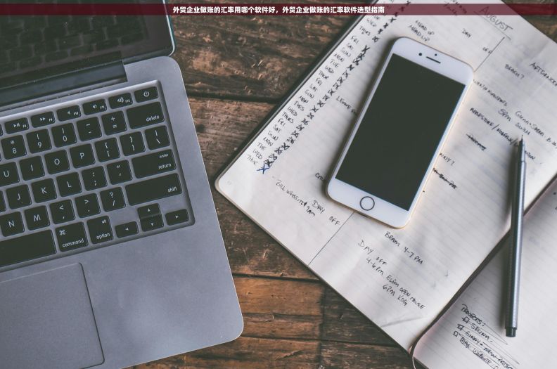 外贸企业做账的汇率用哪个软件好，外贸企业做账的汇率软件选型指南