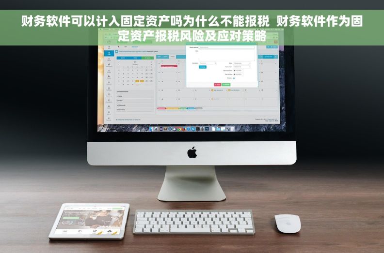 财务软件可以计入固定资产吗为什么不能报税  财务软件作为固定资产报税风险及应对策略