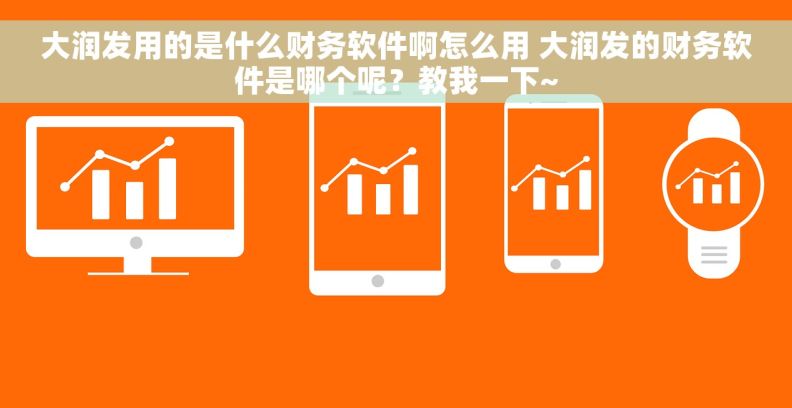 大润发用的是什么财务软件啊怎么用 大润发的财务软件是哪个呢？教我一下~