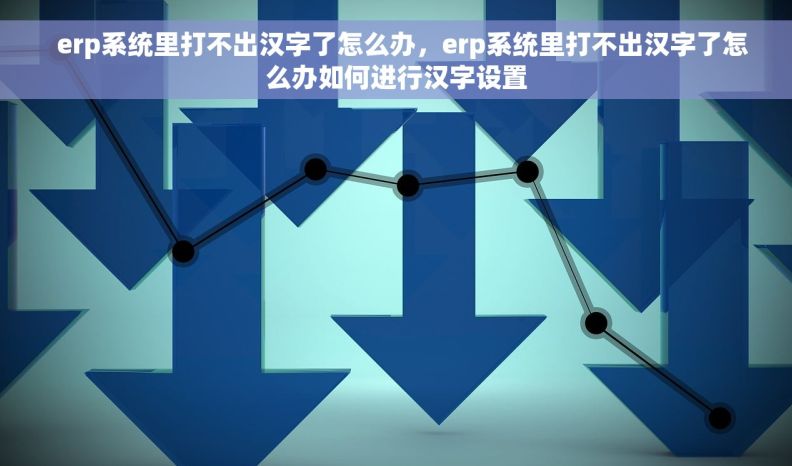   erp系统里打不出汉字了怎么办，erp系统里打不出汉字了怎么办如何进行汉字设置