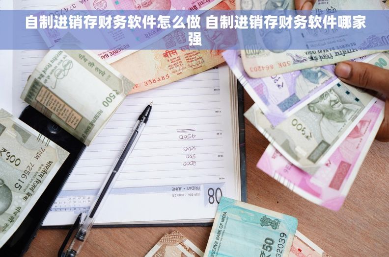 自制进销存财务软件怎么做 自制进销存财务软件哪家强