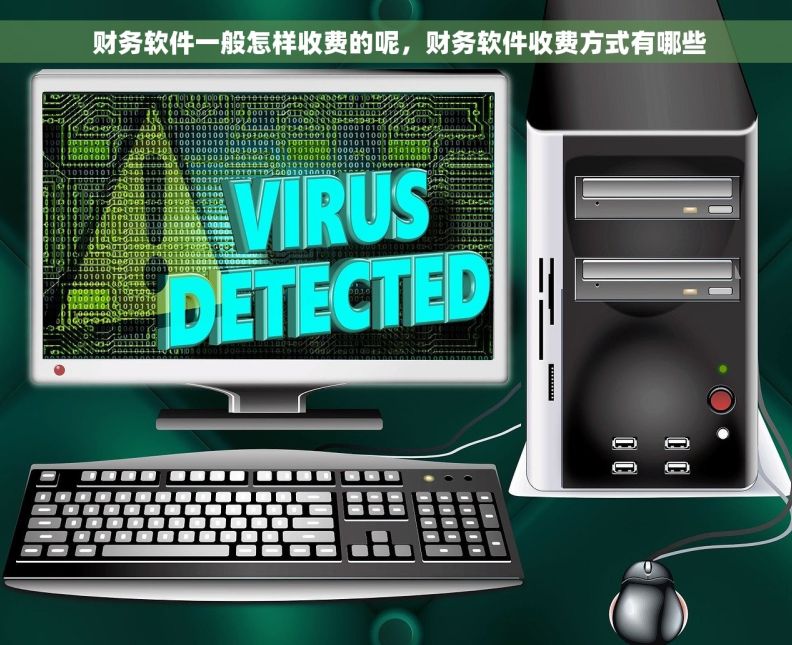  财务软件一般怎样收费的呢，财务软件收费方式有哪些