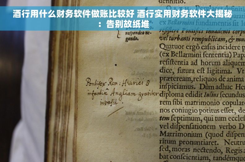 酒行用什么财务软件做账比较好 酒行实用财务软件大揭秘：告别故纸堆