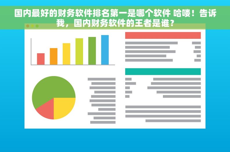 国内最好的财务软件排名第一是哪个软件 哈喽！告诉我，国内财务软件的王者是谁？