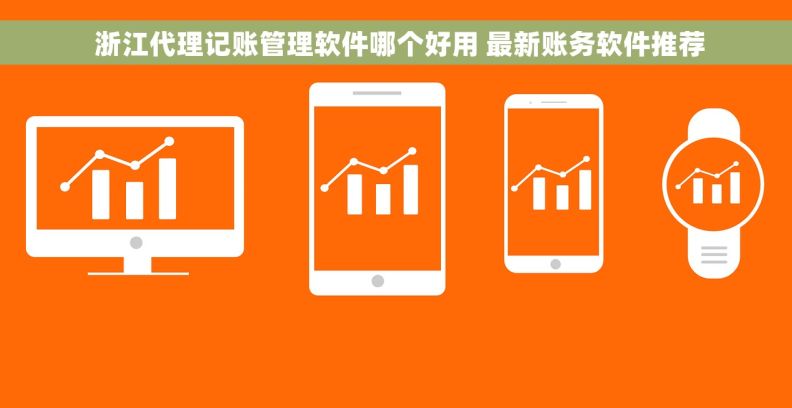  浙江代理记账管理软件哪个好用 最新账务软件推荐