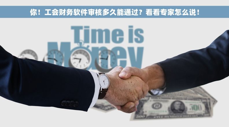 你！工会财务软件审核多久能通过？看看专家怎么说！