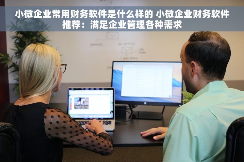 小微企业常用财务软件是什么样的 小微企业财务软件推荐：满足企业管理各种需求