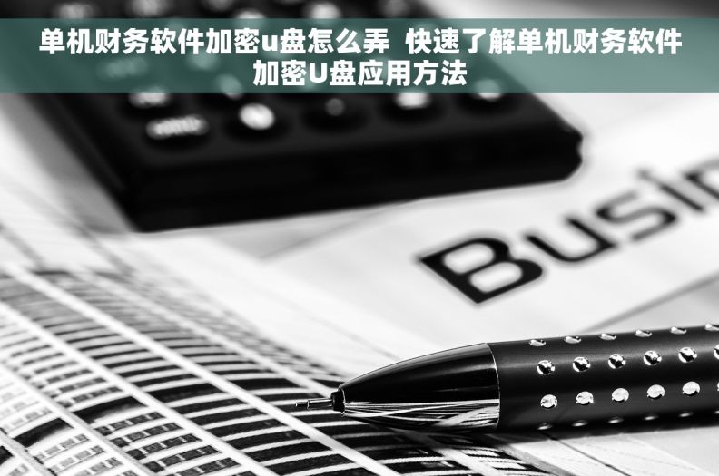 单机财务软件加密u盘怎么弄  快速了解单机财务软件加密U盘应用方法