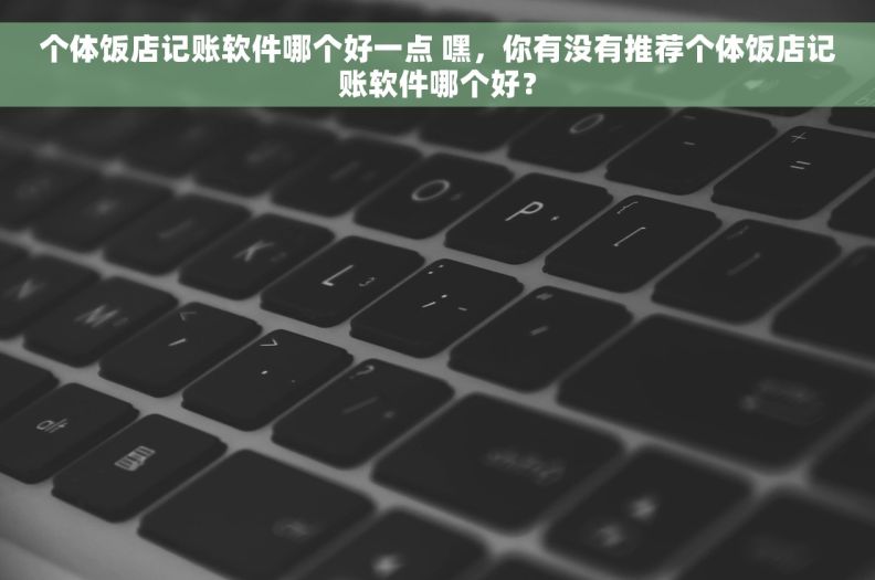 个体饭店记账软件哪个好一点 嘿，你有没有推荐个体饭店记账软件哪个好？