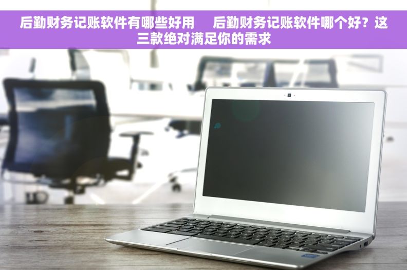 后勤财务记账软件有哪些好用     后勤财务记账软件哪个好？这三款绝对满足你的需求