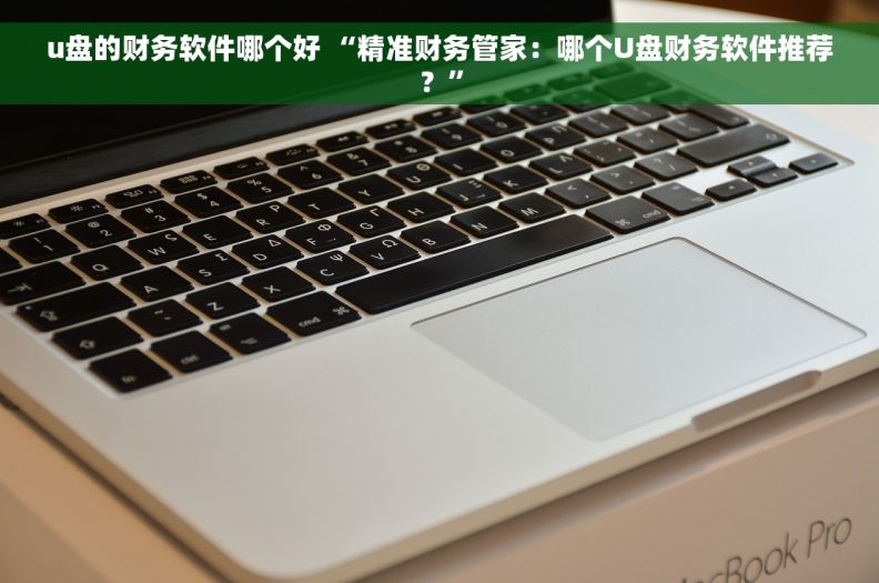 u盘的财务软件哪个好 “精准财务管家：哪个U盘财务软件推荐？”