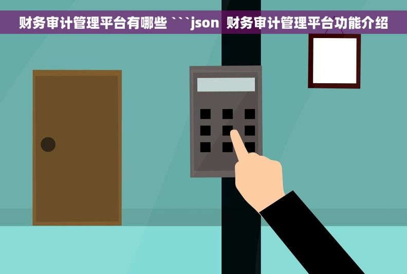 财务审计管理平台有哪些 ```json  财务审计管理平台功能介绍