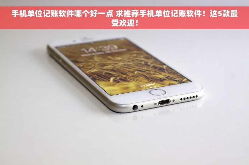 手机单位记账软件哪个好一点 求推荐手机单位记账软件！这5款最受欢迎！