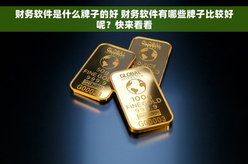 财务软件是什么牌子的好 财务软件有哪些牌子比较好呢？快来看看