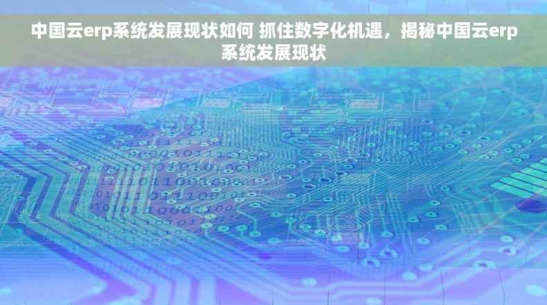 中国云erp系统发展现状如何 抓住数字化机遇，揭秘中国云erp系统发展现状