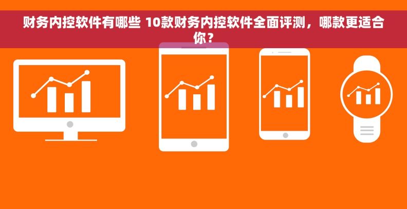 财务内控软件有哪些 10款财务内控软件全面评测，哪款更适合你？