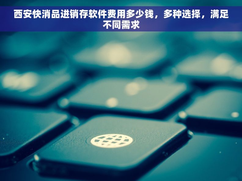 西安快消品进销存软件费用多少钱，多种选择，满足不同需求