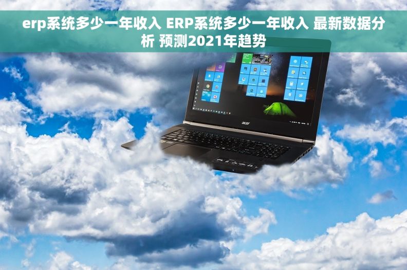 erp系统多少一年收入 ERP系统多少一年收入 最新数据分析 预测2021年趋势