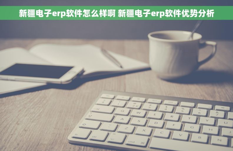 新疆电子erp软件怎么样啊 新疆电子erp软件优势分析