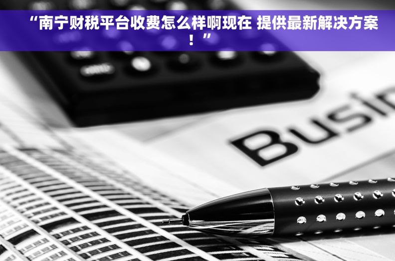 “南宁财税平台收费怎么样啊现在 提供最新解决方案！”