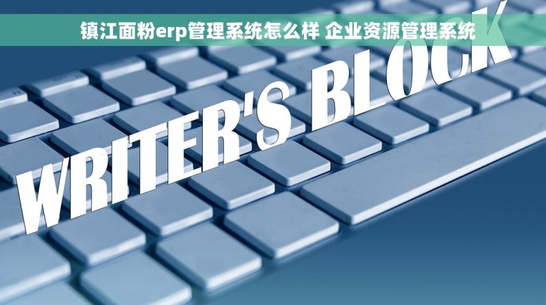   镇江面粉erp管理系统怎么样 企业资源管理系统