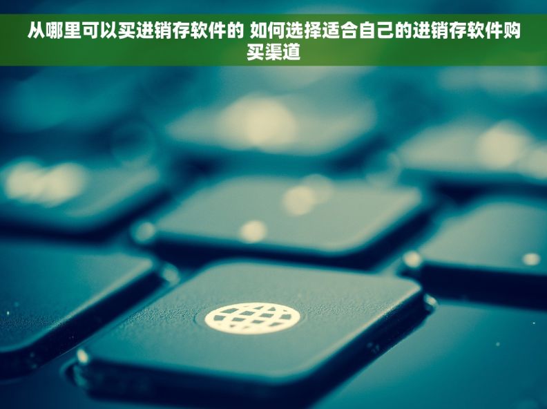 从哪里可以买进销存软件的 如何选择适合自己的进销存软件购买渠道