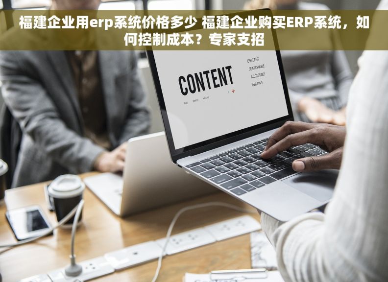 福建企业用erp系统价格多少 福建企业购买ERP系统，如何控制成本？专家支招