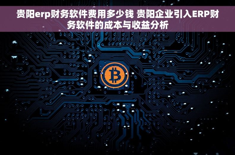 贵阳erp财务软件费用多少钱 贵阳企业引入ERP财务软件的成本与收益分析
