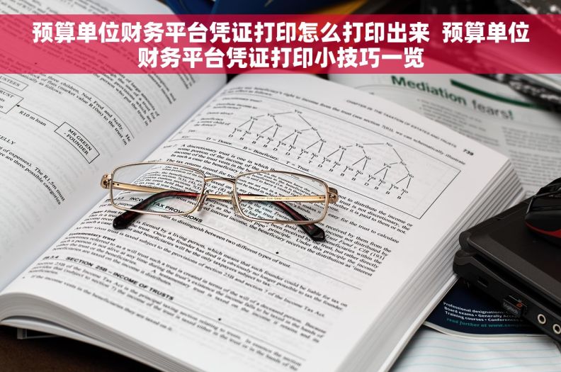 预算单位财务平台凭证打印怎么打印出来  预算单位财务平台凭证打印小技巧一览