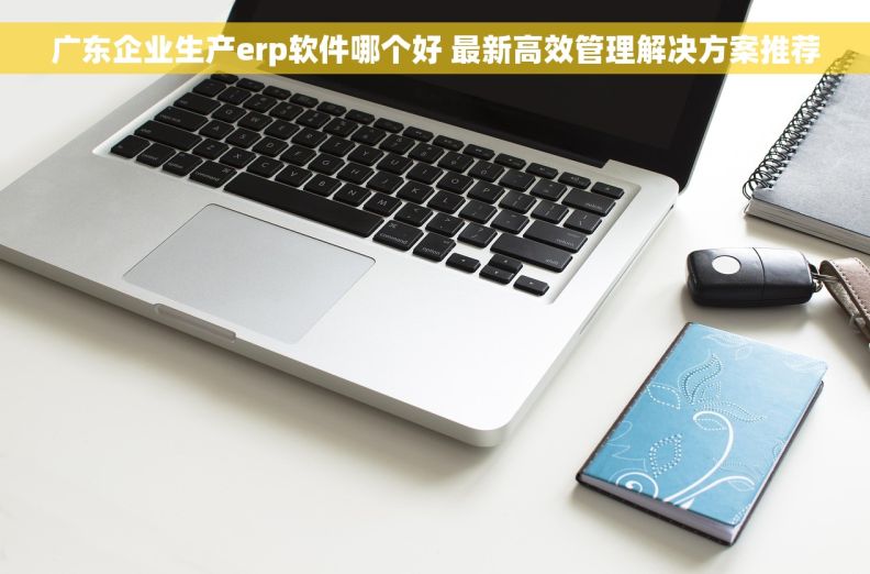 广东企业生产erp软件哪个好 最新高效管理解决方案推荐